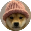 dog with hat